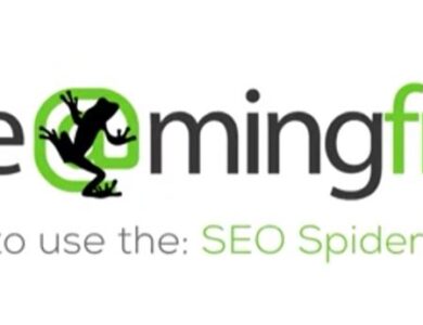 اسکریمینگ فراگ در سئو